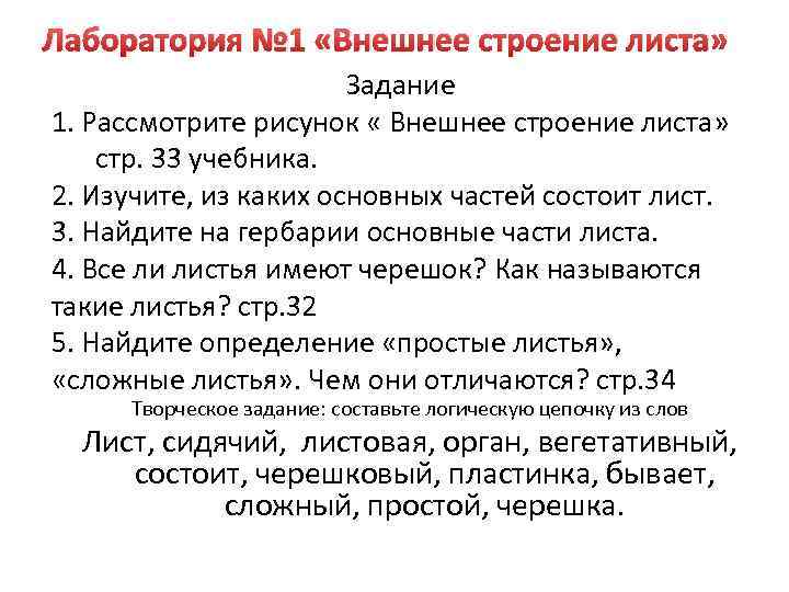 Практическая работа 6 класс внешнее строение листа