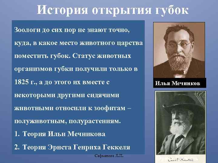 История открытия губок Зоологи до сих пор не знают точно, куда, в какое место
