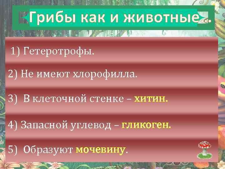 Грибы как и животные… 1) Гетеротрофы. 2) Не имеют хлорофилла. 3) В клеточной стенке