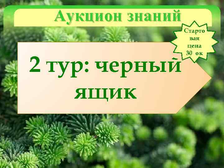 Аукцион знаний 2 тур: черный ящик Старто вая цена 30 ок 