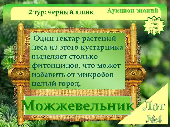 2 тур: черный ящик Аукцион знаний Старт овая цена 30 ок Один гектар растений