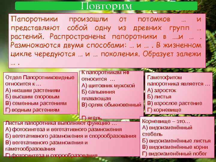 Определите к какому отделу и какому классу относят изображенное на рисунке растение укажите