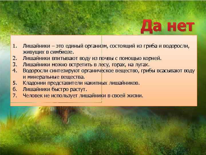 Да нет 1. 2. 3. 4. 5. 6. 7. Лишайники – это единый организм,