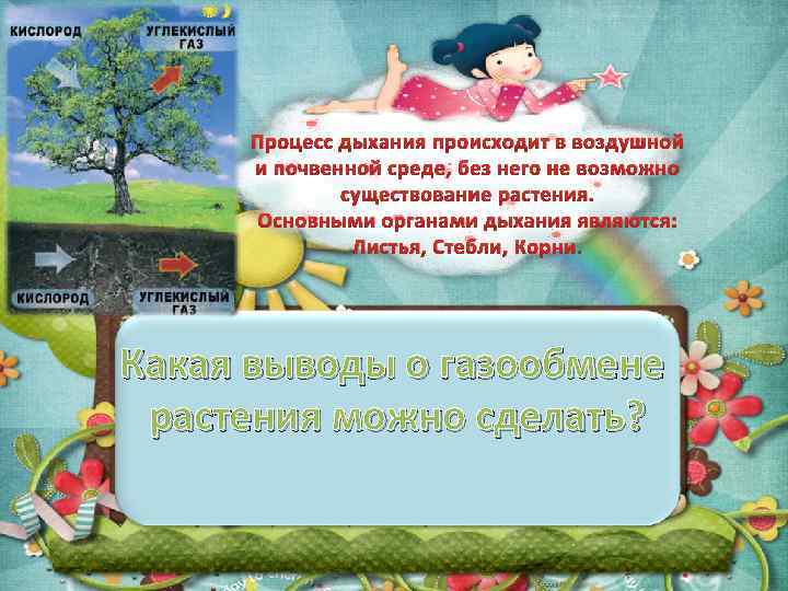 Процесс дыхания происходит в воздушной и почвенной среде, без него не возможно существование растения.