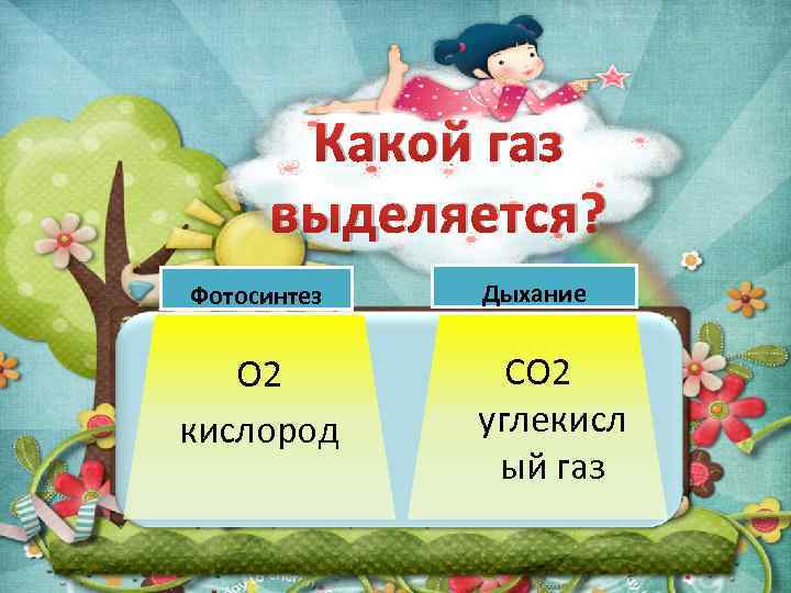 Какой газ выделяется? Фотосинтез О 2 кислород Дыхание СО 2 углекисл ый газ 