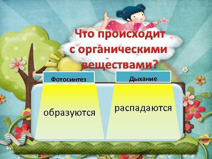 Что происходит с органическими веществами? Фотосинтез образуются Дыхание распадаются 