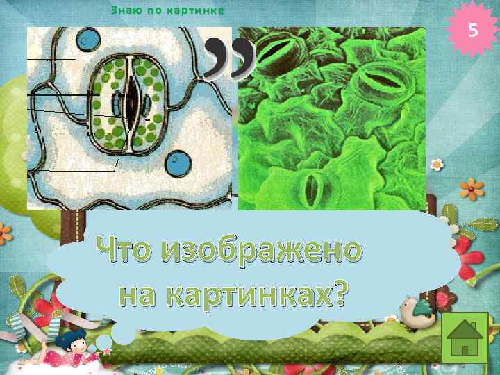 Знаю по картинке Что изображено на картинках? 5 