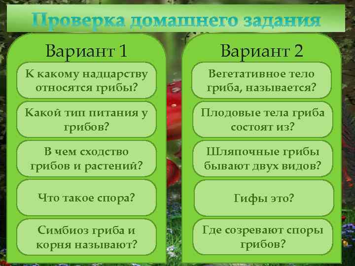 Проверка домашнего задания Вариант 1 Вариант 2 К какому надцарству относятся грибы? Вегетативное тело