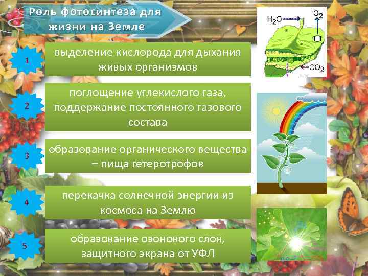 Роль фотосинтеза для жизни на Земле 1 выделение кислорода для дыхания живых организмов 2