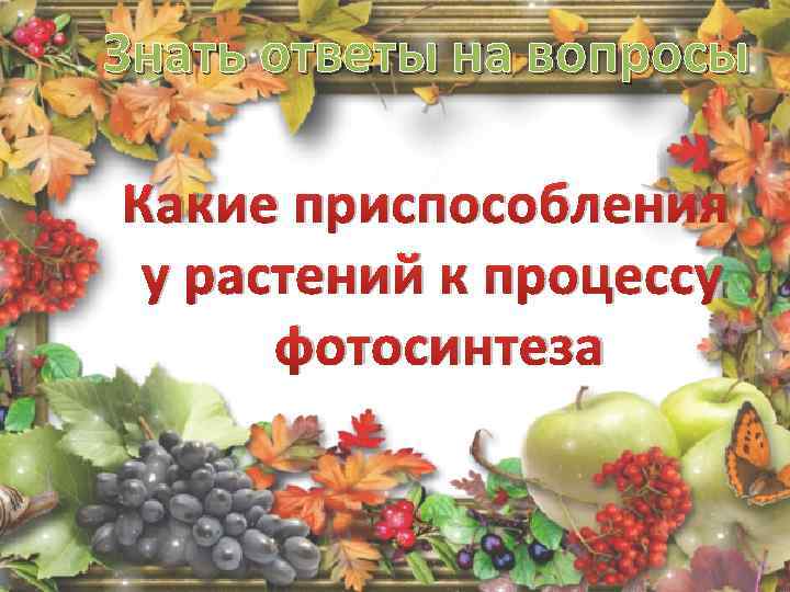 Знать ответы на вопросы Какие приспособления у растений к процессу фотосинтеза 