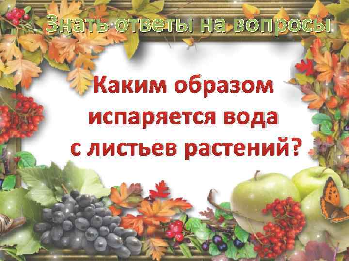 Знать ответы на вопросы Каким образом испаряется вода с листьев растений? 