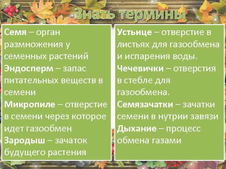 Знать термины Семя – орган размножения у семенных растений Эндосперм – запас питательных веществ