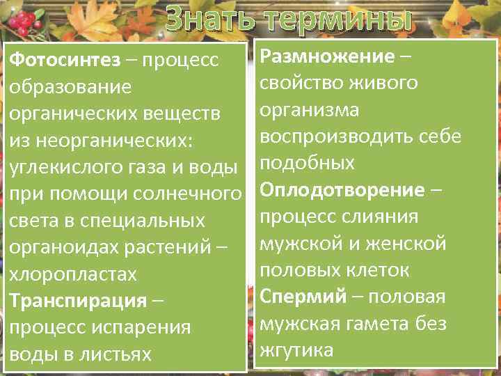 Знать термины Фотосинтез – процесс образование органических веществ из неорганических: углекислого газа и воды