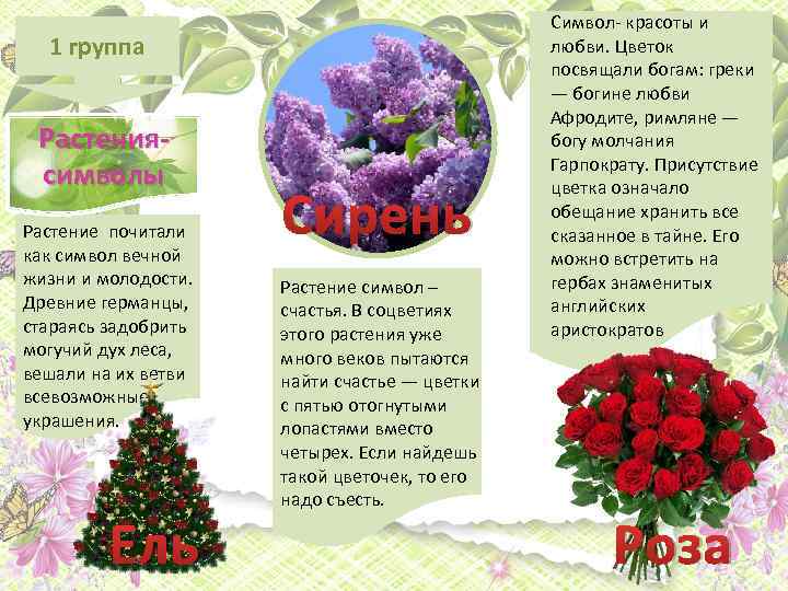 1 группа Растениясимволы Растение почитали как символ вечной жизни и молодости. Древние германцы, стараясь