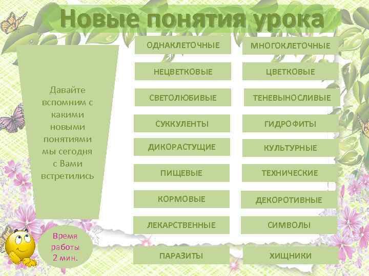 Новые понятия урока ОДНАКЛЕТОЧНЫЕ НЕЦВЕТКОВЫЕ Время работы 2 мин. ЦВЕТКОВЫЕ СВЕТОЛЮБИВЫЕ ТЕНЕВЫНОСЛИВЫЕ СУККУЛЕНТЫ ГИДРОФИТЫ