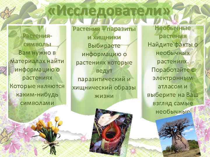  «Исследователи» Растениясимволы Вам нужно в материалах найти информацию о растениях Которые являются каким-нибудь