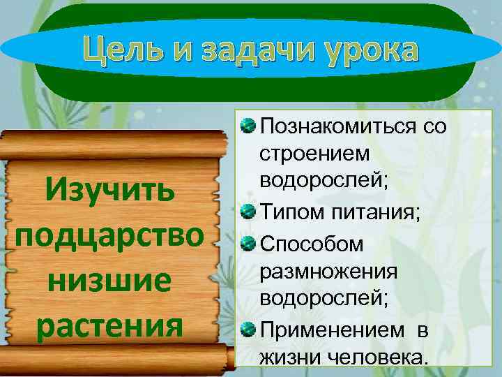 Специалист изучающий морфологию анатомию географическое распространение водорослей