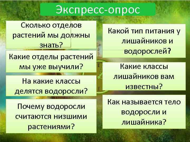 Экспресс-опрос Сколько отделов растений мы должны знать? Какие отделы растений мы уже выучили? На