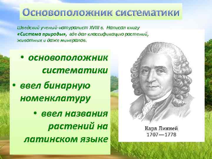 Основоположник систематики Шведский ученый-натуралист XVIII в. Написал книгу «Система природы» , где дал классификацию