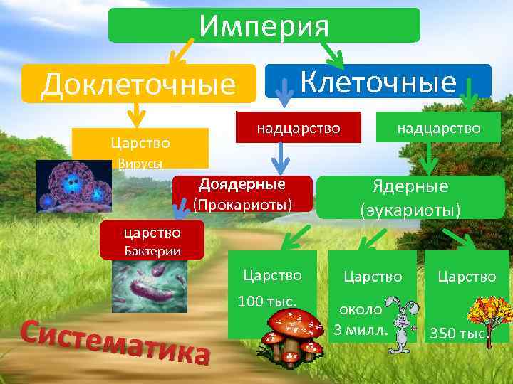 Империя Клеточные Доклеточные надцарство Царство надцарство Вирусы Доядерные (Прокариоты) царство Ядерные (эукариоты) Бактерии Царство