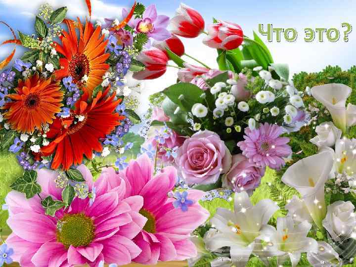 Что это? 