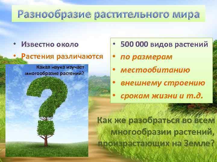 Изучение разнообразия. Какая наука изучает растения. Какая наука изучает многообразие растений. Строение и разнообразие растений изучает наука. Какая наука изучает сортовое разнообразие растений.