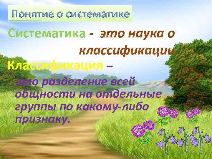 Понятие о систематике Систематика - это наука о классификации. Классификация – это разделение всей