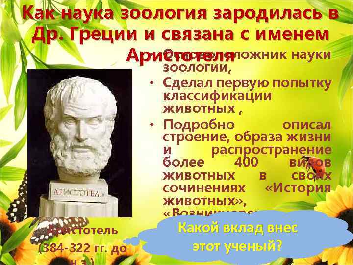 Как наука зоология зародилась в Др. Греции и связана с именем • Основоположник науки