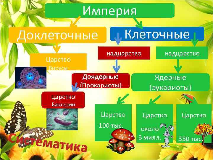 Клеточные формы жизни