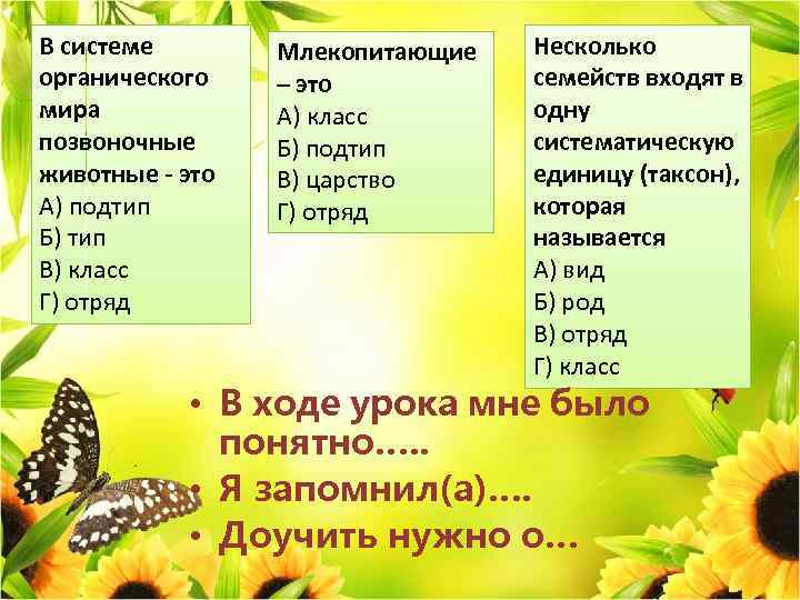 В системе органического мира позвоночные животные - это А) подтип Б) тип В) класс