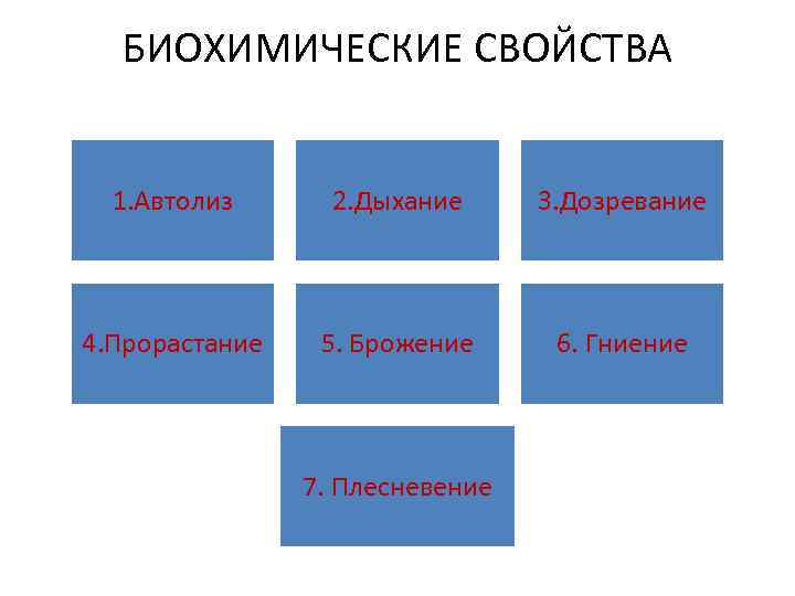 БИОХИМИЧЕСКИЕ СВОЙСТВА 1. Автолиз 2. Дыхание 3. Дозревание 4. Прорастание 5. Брожение 6. Гниение