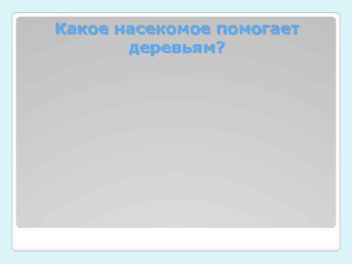 Какое насекомое помогает деревьям? 