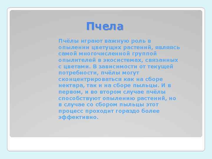 Пчела Пчёлы играют важную роль в опылении цветущих растений, являясь самой многочисленной группой опылителей