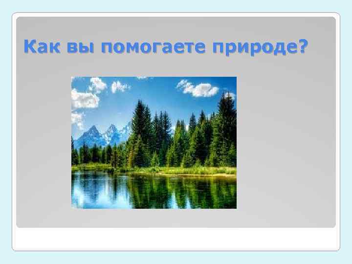 Как вы помогаете природе? 