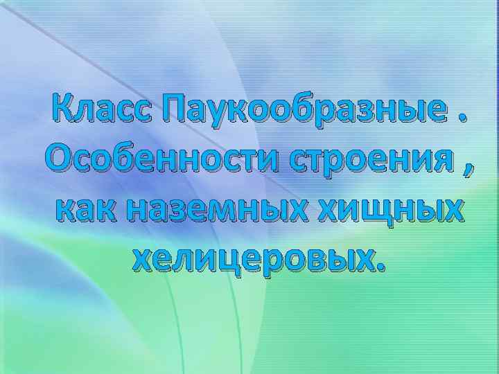 Класс Паукообразные. Особенности строения , как наземных хищных хелицеровых. 