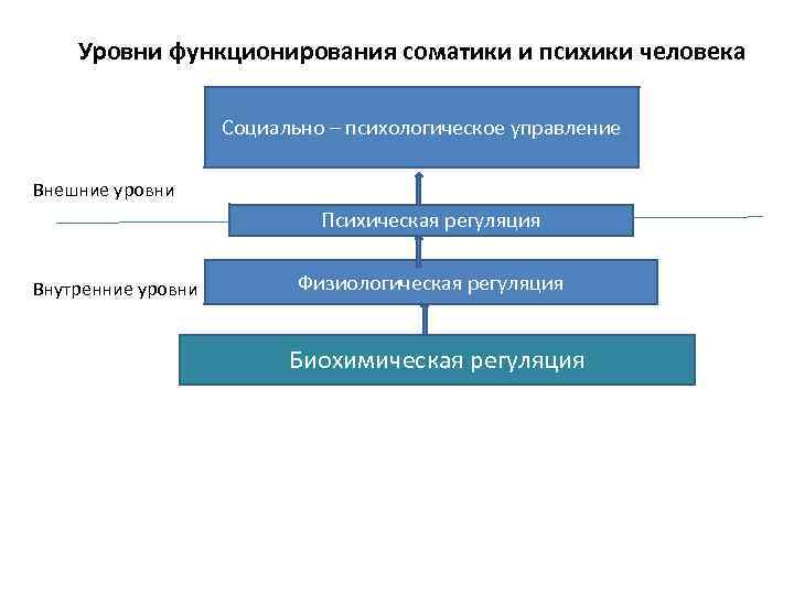 Уровни психики. Уровни организации психики. Уровни функционирования психики. Уровни психического функционирования. Уровни функционирования личности.