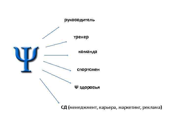 руководитель тренер команда спортсмен Ψ здоровья СД (менеджмент, карьера, маркетинг, реклама) 