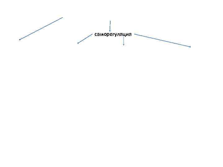 саморегуляция 