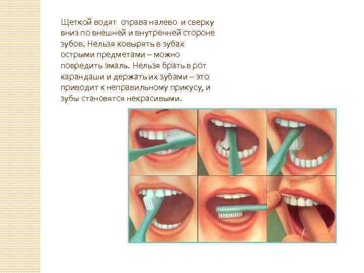 Щеткой водят справа налево и сверху вниз по внешней и внутренней стороне зубов. Нельзя