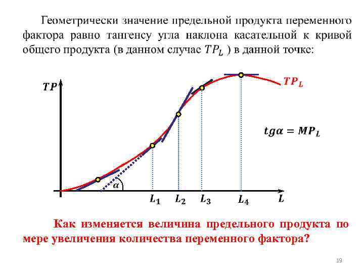  Как изменяется величина предельного продукта по мере увеличения количества переменного фактора? 19 