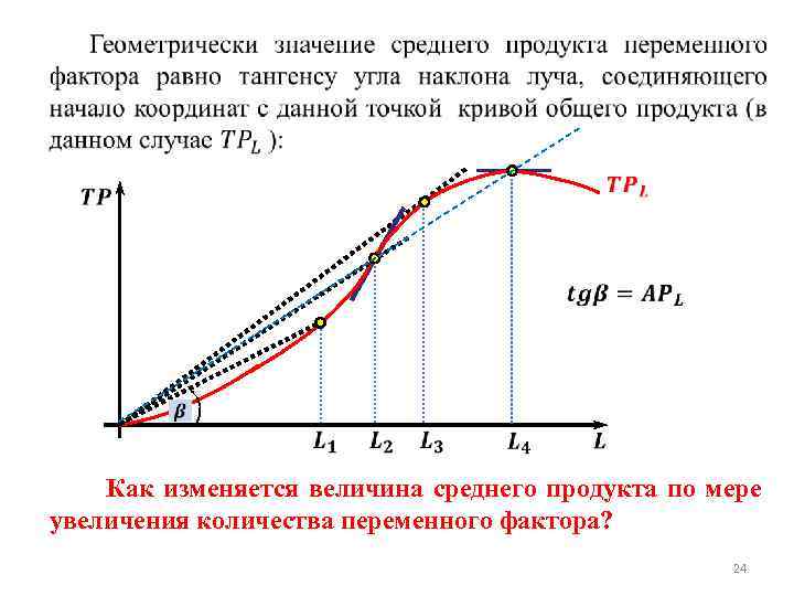  Как изменяется величина среднего продукта по мере увеличения количества переменного фактора? 24 