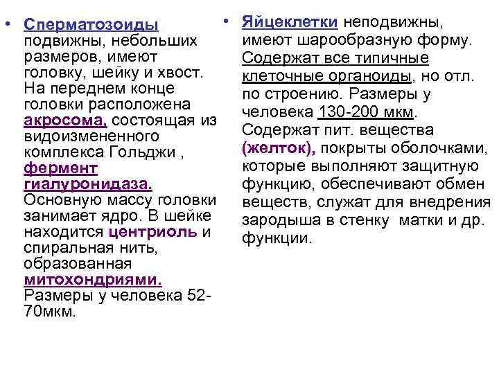  • • Сперматозоиды подвижны, небольших размеров, имеют головку, шейку и хвост. На переднем