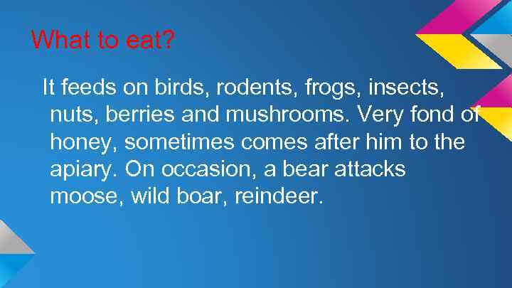 What to eat? It feeds on birds, rodents, frogs, insects, nuts, berries and mushrooms.