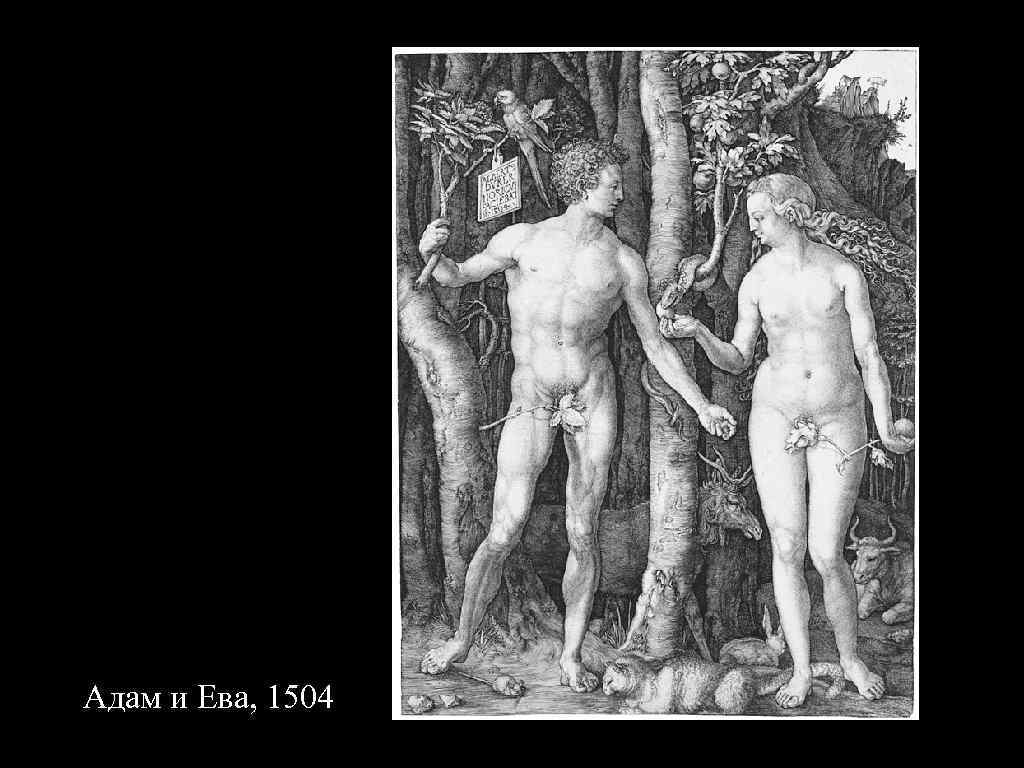 Адам и Ева, 1504 