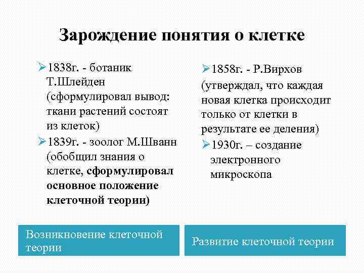 Зарождение понятия о клетке Ø 1838 г. - ботаник Т. Шлейден (сформулировал вывод: ткани