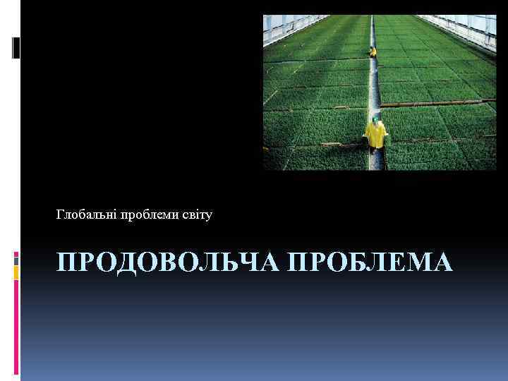 Глобальні проблеми світу ПРОДОВОЛЬЧА ПРОБЛЕМА 