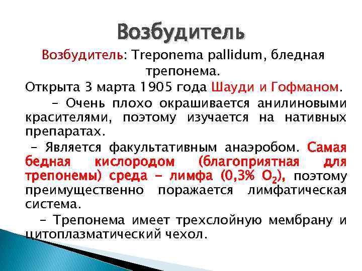 Возбудитель: Treponema pallidum, бледная трепонема. Открыта 3 марта 1905 года Шауди и Гофманом. -