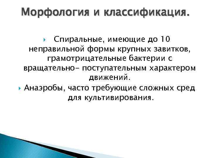 Морфология и классификация. Спиральные, имеющие до 10 неправильной формы крупных завитков, грамотрицательные бактерии с