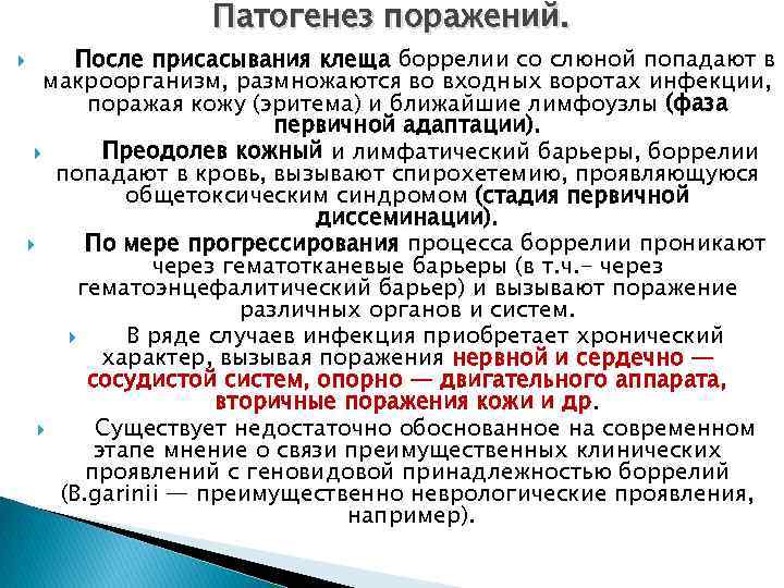 Патогенез поражений. После присасывания клеща боррелии со слюной попадают в макроорганизм, размножаются во входных