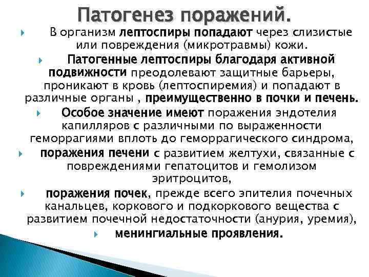 Патогенез поражений. В организм лептоспиры попадают через слизистые или повреждения (микротравмы) кожи. Патогенные лептоспиры